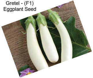 Gretel - (F1) Eggplant Seed