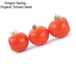 Oregon Spring - Organic Tomato Seed