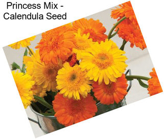 Princess Mix - Calendula Seed