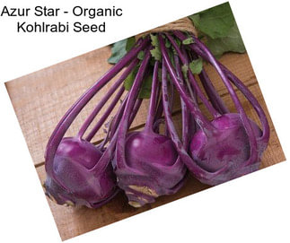 Azur Star - Organic Kohlrabi Seed