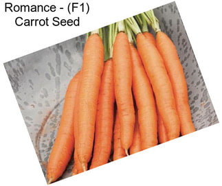 Romance - (F1) Carrot Seed