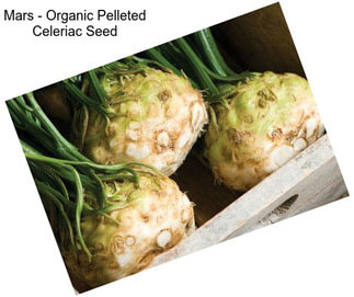 Mars - Organic Pelleted Celeriac Seed