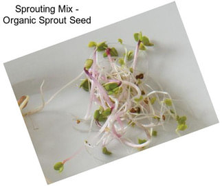 Sprouting Mix - Organic Sprout Seed