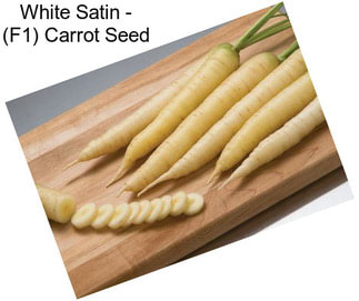 White Satin - (F1) Carrot Seed