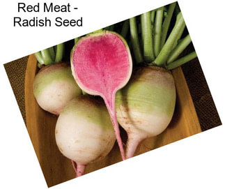 Red Meat - Radish Seed