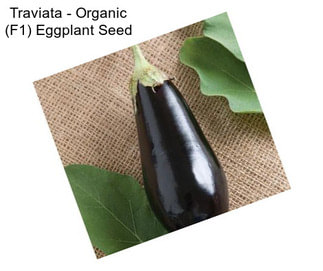 Traviata - Organic (F1) Eggplant Seed