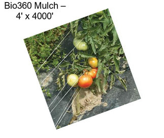 Bio360 Mulch – 4\' x 4000\'