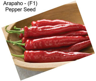 Arapaho - (F1) Pepper Seed