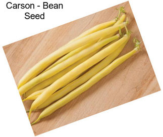 Carson - Bean Seed