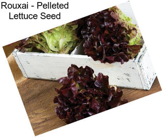 Rouxai - Pelleted Lettuce Seed