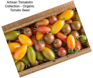 Artisan Tomatotm Collection - Organic Tomato Seed