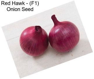 Red Hawk - (F1) Onion Seed