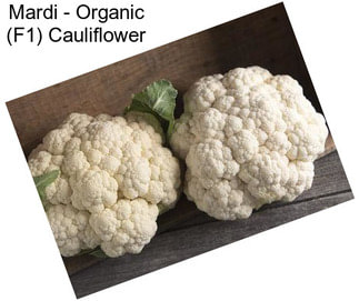 Mardi - Organic (F1) Cauliflower