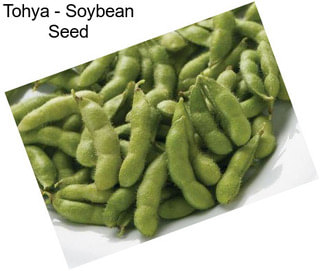 Tohya - Soybean Seed