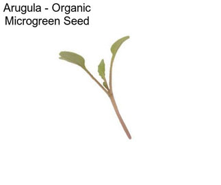 Arugula - Organic Microgreen Seed