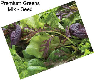 Premium Greens Mix - Seed