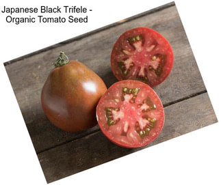 Japanese Black Trifele - Organic Tomato Seed