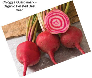 Chioggia Guardsmark - Organic Pelleted Beet Seed