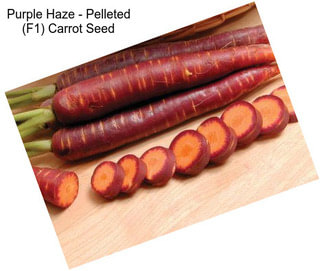 Purple Haze - Pelleted (F1) Carrot Seed