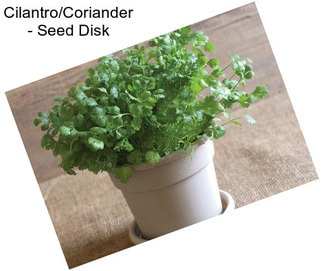 Cilantro/Coriander - Seed Disk