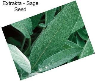 Extrakta - Sage Seed