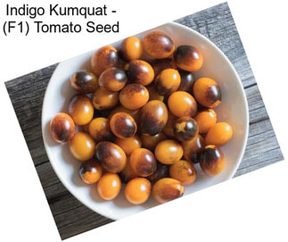 Indigo Kumquat - (F1) Tomato Seed