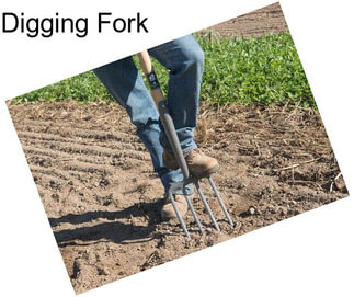 Digging Fork