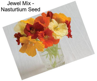 Jewel Mix - Nasturtium Seed