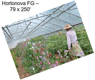 Hortonova FG – 79\