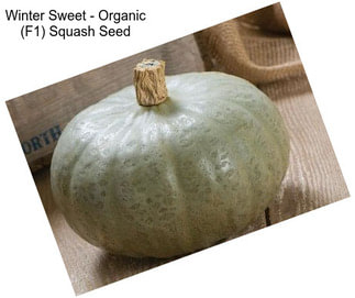 Winter Sweet - Organic (F1) Squash Seed