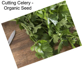 Cutting Celery - Organic Seed