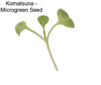 Komatsuna - Microgreen Seed