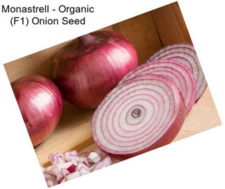 Monastrell - Organic (F1) Onion Seed