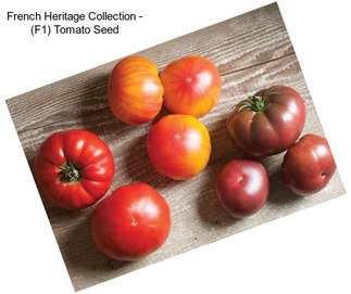 French Heritage Collection - (F1) Tomato Seed