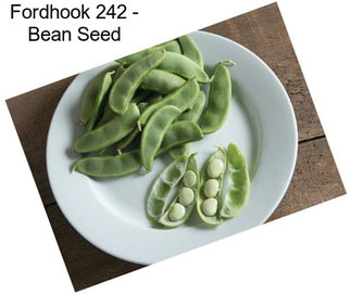 Fordhook 242 - Bean Seed