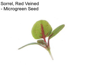 Sorrel, Red Veined - Microgreen Seed