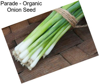 Parade - Organic Onion Seed