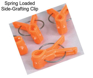 Spring Loaded Side-Grafting Clip