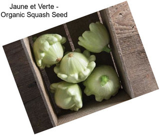 Jaune et Verte - Organic Squash Seed