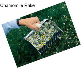 Chamomile Rake