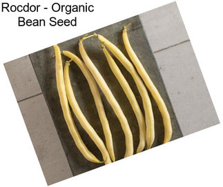 Rocdor - Organic Bean Seed