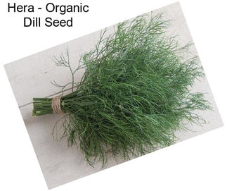 Hera - Organic Dill Seed