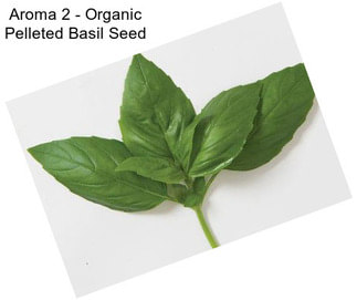 Aroma 2 - Organic Pelleted Basil Seed
