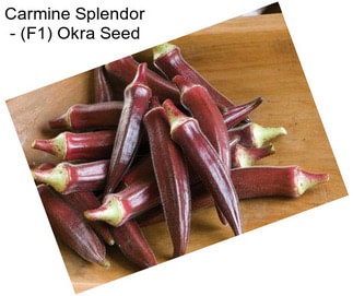 Carmine Splendor - (F1) Okra Seed