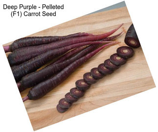 Deep Purple - Pelleted (F1) Carrot Seed
