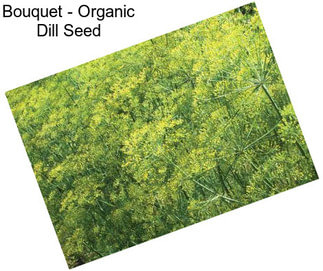 Bouquet - Organic Dill Seed