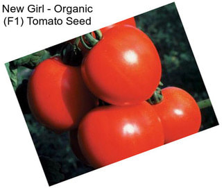 New Girl - Organic (F1) Tomato Seed