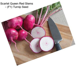 Scarlet Queen Red Stems - (F1) Turnip Seed