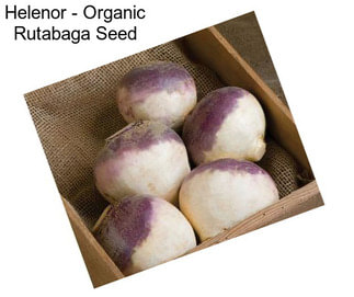 Helenor - Organic Rutabaga Seed