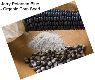 Jerry Petersen Blue - Organic Corn Seed